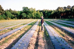 field_south0