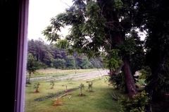 sideviewfield0